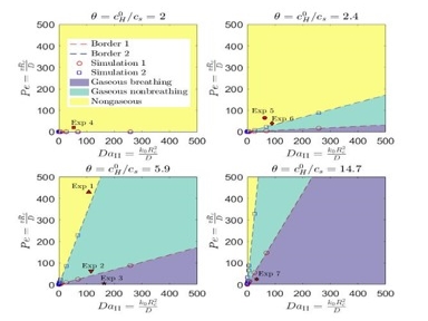 Glass Microfluidics for Carbonates Dissolution and Precipitation - Jianping  Xu