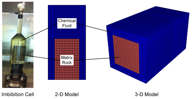 imbibition cell 2d and 3d models