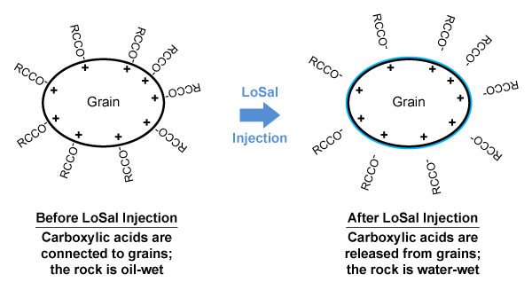 before and after losal injection